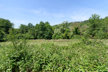 Fototapeta na wymiar Renarde valley in Ile-De-France region