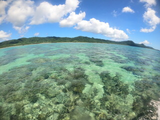 Fototapeta na wymiar 沖縄風景、海と空と雲とサンゴ