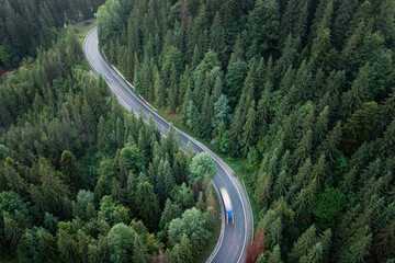 Forest road top view, cars in motion