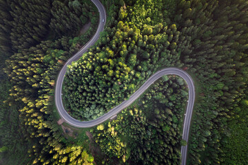 Road top view, summer green forest - 513266095
