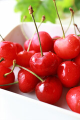 サクランボ　アップ