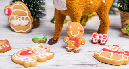 Christmas holiday gourmet biscuit decoration