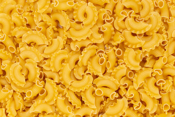 Dried macaroni cockerel scallops. Pasta vermicelli texture, noodles background.