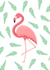 Vector illustration of exotic flamingo bird for postcard, poster.