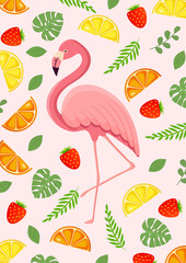 Vector illustration of exotic flamingo bird with berries and fruits for postcard, poster.
