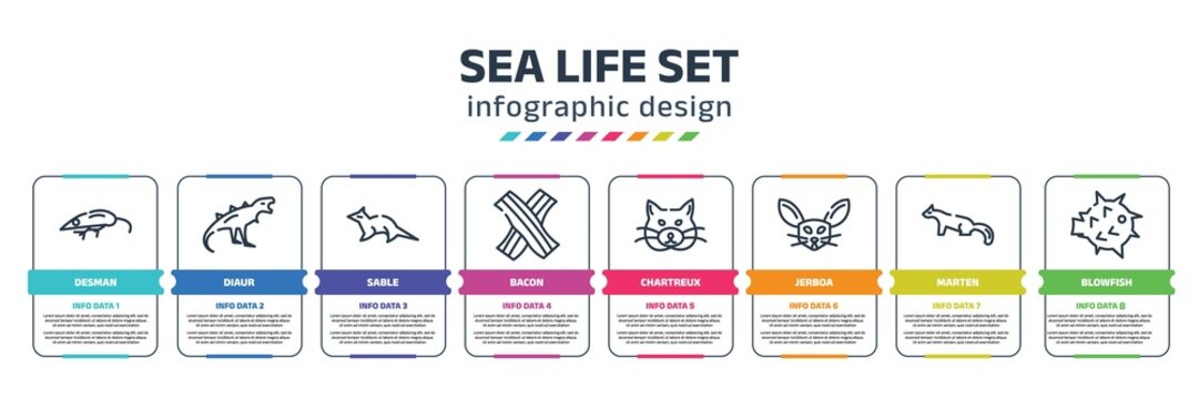 sea life set infographic design template with desman, diaur, sable, bacon, chartreux, jerboa, marten, blowfish icons. can be used for web, banner, info graph.