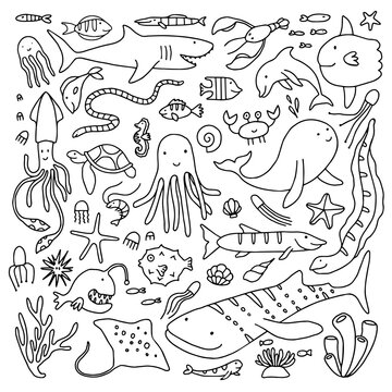 Vector set of isolated cartoon underwater animals. Doodle outline design.