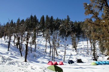Trekking at Uttarakhand 