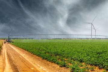 Automated irrigation sprinklers system on farmland with wind turbines in the background.