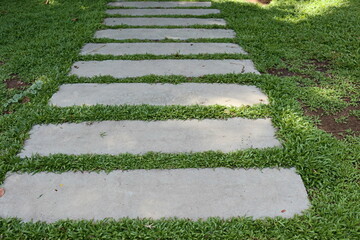 stone path in the garden