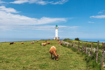 Lastres lighthouse with cows in the surrounding pastures, Asturias.
