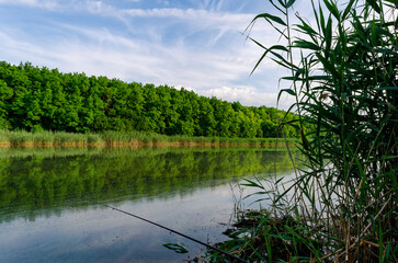 Fishing adventures, carp fishing. A fisherman is fishing at sunset. Fishing rods on the river bank. Landscape.
