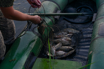 The fisherman swam to the shore on a boat and shows his catch. Overfishing damages the local...