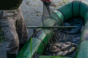 The fisherman swam to the shore on a boat and shows his catch. Overfishing damages the local...