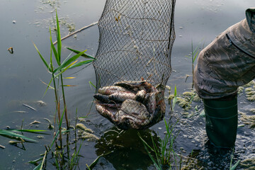 The fisherman swam to the shore on a boat and shows his catch. Overfishing damages the local...