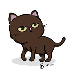 Cartoon thai cat with simple design. Burmese cat . This is one of the five most beautiful cat breeds in Thailand. Vector illustration on the background. Cute style design for cards, posters, all prin