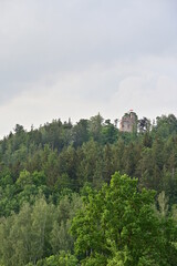 Blick auf Ruine der Burg Heinrichsburg (Zamek ksiecia Henryka) auf einem bewaldeten Berg mit vielen Bäumen und wolkigem Himmel bei Marczyce, Polen