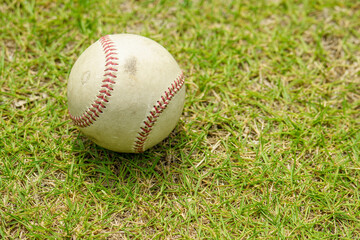芝生に転がる硬式野球ボール