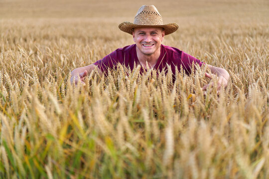 Farmer with straw hat in a wheat field