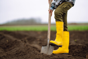 Female Worker digs soil with shovel in the vegetable garden. Agriculture and tough work concept