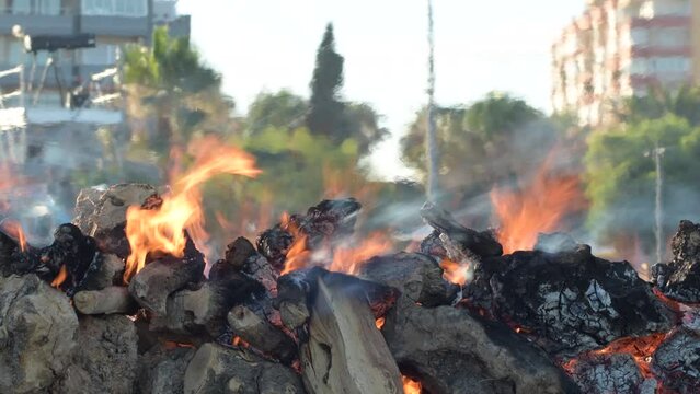 Wooden logs burning in a popular barbecue