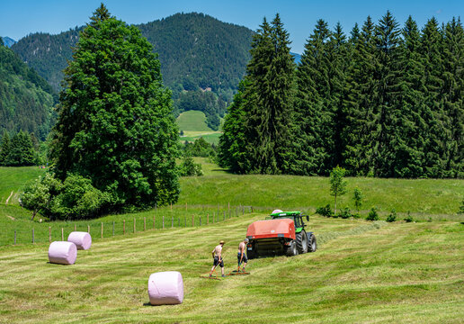 Landwirtschaft im Allgäu, Bayern: Heuballen werden von zwei Männern und Großballenpresse, Maschine in Folie verpackt