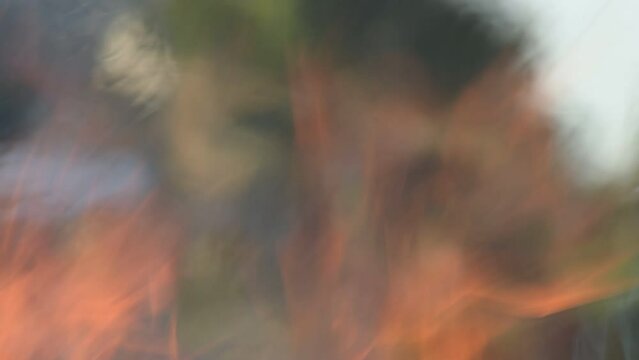 Flames and blazes in a fire of a barbecue