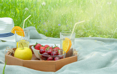 Picnic at park. Plaid, wooden tray with summer berries and glass cups of lemonade on green grass