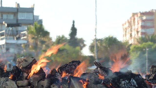 Wooden logs burning of a barbecue