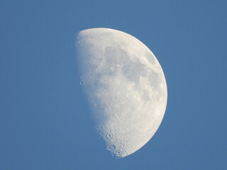 Moon in the blue sky