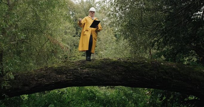 Specialist in a protective helmet and a yellow raincoat from the environmental service. Stands on a fallen tree and gestures to the workers how to cut it to clear the forest