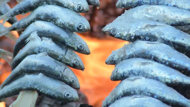 Sardines skewers espetos grilled at fire, typical spanish food