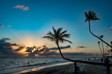 Fototapeta premium Tropical Beach with Palms