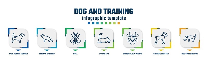 dog and training concept infographic design template. included jack russel terrier, german sheperd, null, laying cat, spider black widow, chinese crested, dog smelling dog icons and 7 option or