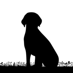 dog sitting silhouette on white background, isolated, vector