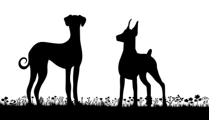 dogs on grass silhouette on white background, isolated, vector