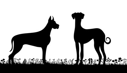 dogs on grass silhouette on white background, isolated