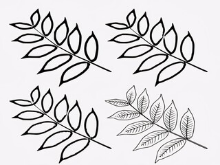 Set of drawn tree leaves in vector