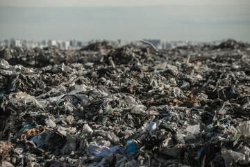 Old garbage landfill near a large city, reclamation