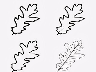 Fototapeta na wymiar Set of drawn tree leaves in vector