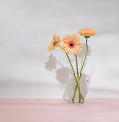 Three Gerbera Daisies in glass carafe or pitcher against pastel pink background. Romantic floral concept.  Creative composition of summer flowers.