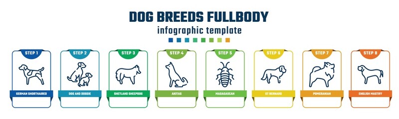 dog breeds fullbody concept infographic design template. included german shorthaired pointer, dog and doggie, shetland sheepdog, akitas, madagascan, st bernard, pomeranian, english mastiff icons and