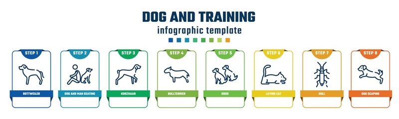 dog and training concept infographic design template. included rottweiler, dog and man seating, kurzhaar, bullterrier, dogs, laying cat, null, dog scaping icons and 8 options or steps.