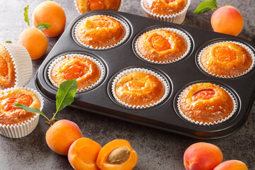 Close-up of apricot yogurt muffins in baking form on the table. horizontal