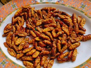 Insects, pupa, fry street food