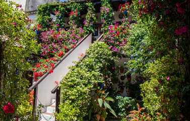 Obraz premium Patio full of flowers in spring, with a central staircase, Córdoba, Spain