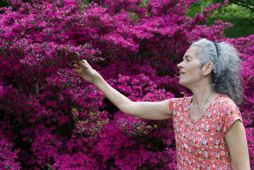 Mature woman admiring magenta Azalea
