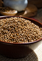 Coriander grains in a ceramic bowl.
