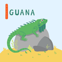 Cute green Iguana with long tail on stones. Zoo cute animal for kids design