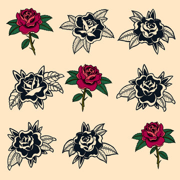 rose flowers set